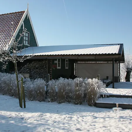 Skaap Amsterdam Waterland