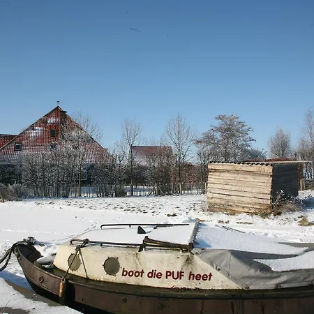 Skaap Amsterdam Waterland