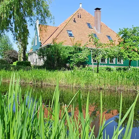 Skaap Amsterdam Waterland